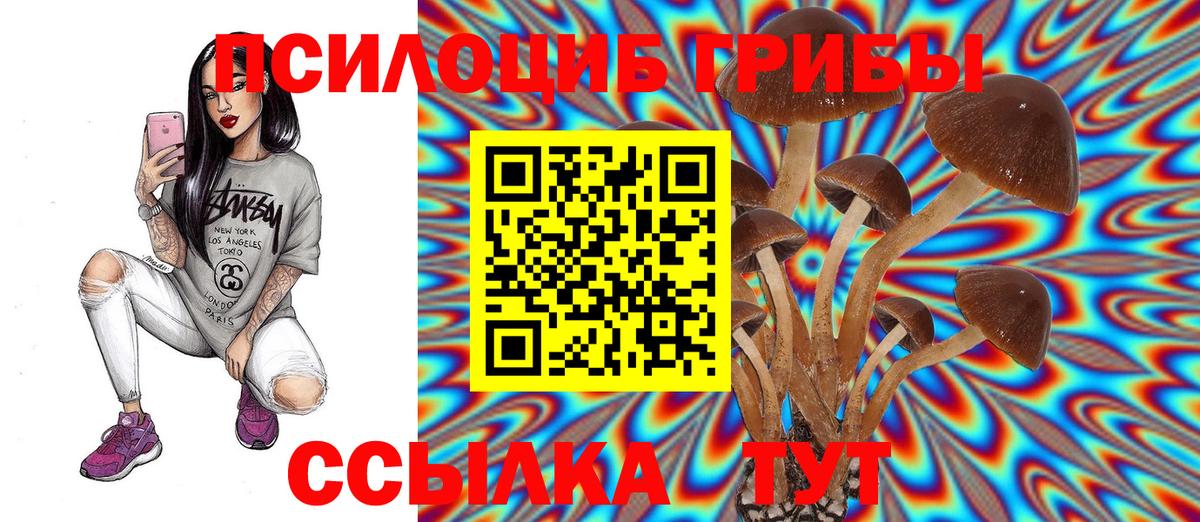 Галлюциногенные грибы Cubensis Трёхгорный